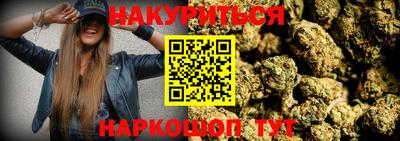 сатива Кунгур