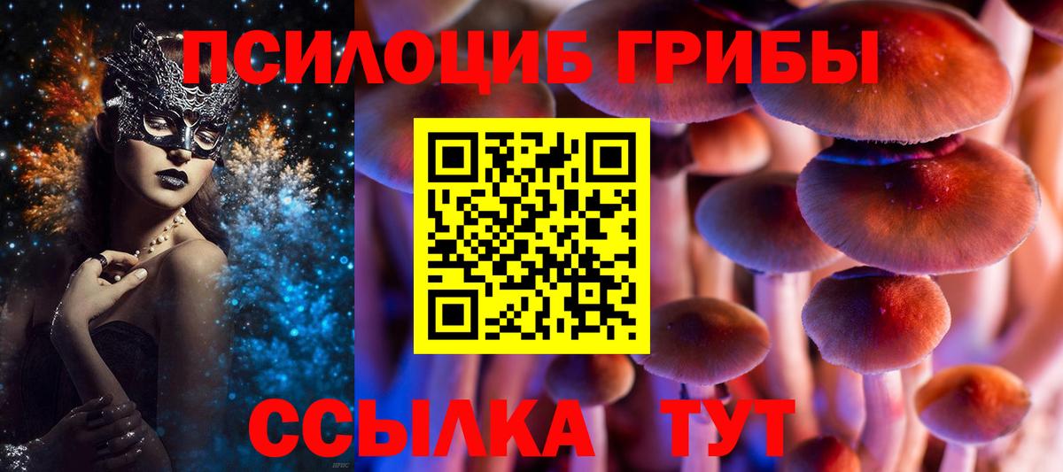 Галлюциногенные грибы Psilocybe  Псилоцибиновые грибы Cubensis  Элиста  Вход с VPN 
