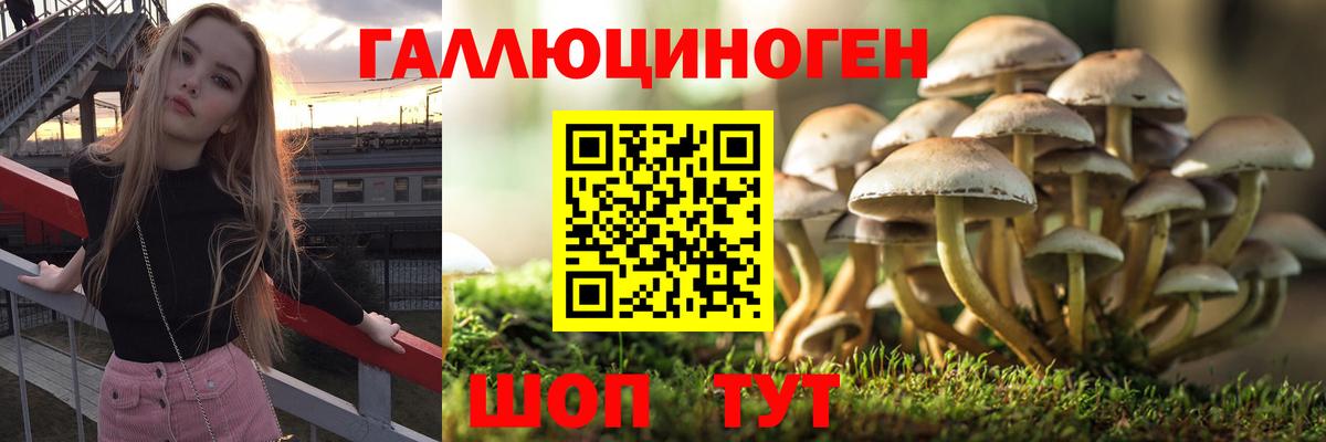 Псилоцибиновые грибы мухоморы Элиста